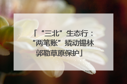 “三北”生态行：“两笔账”撬动锡林郭勒草原保护